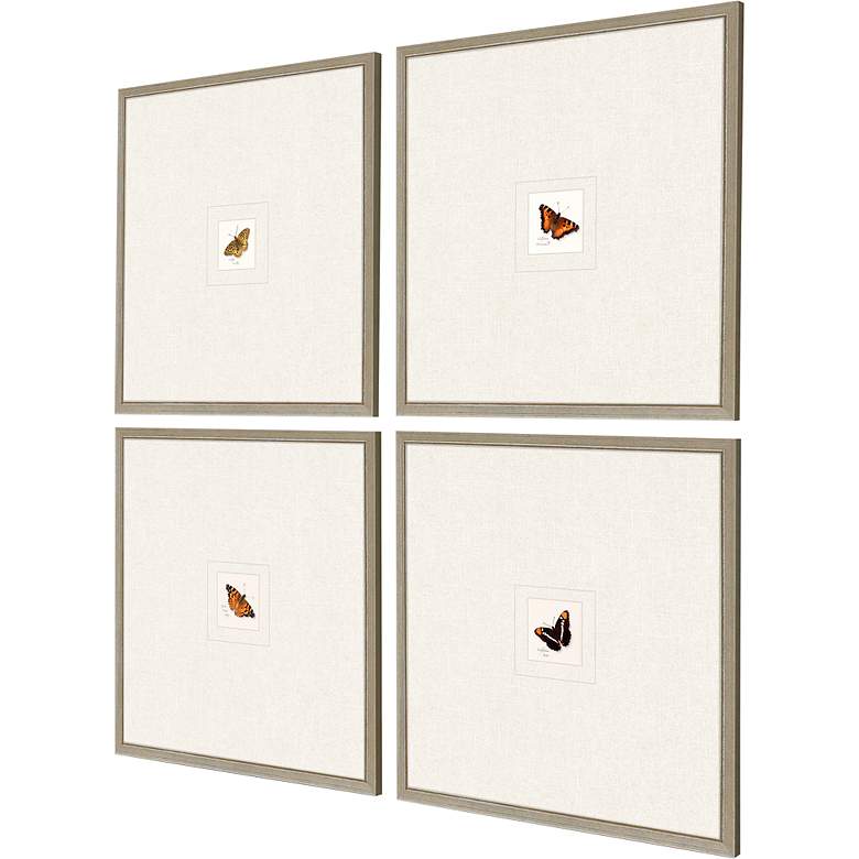 Image 5 Butterfly 21" Square 4-Piece Giclee Framed Wall Art Set more views