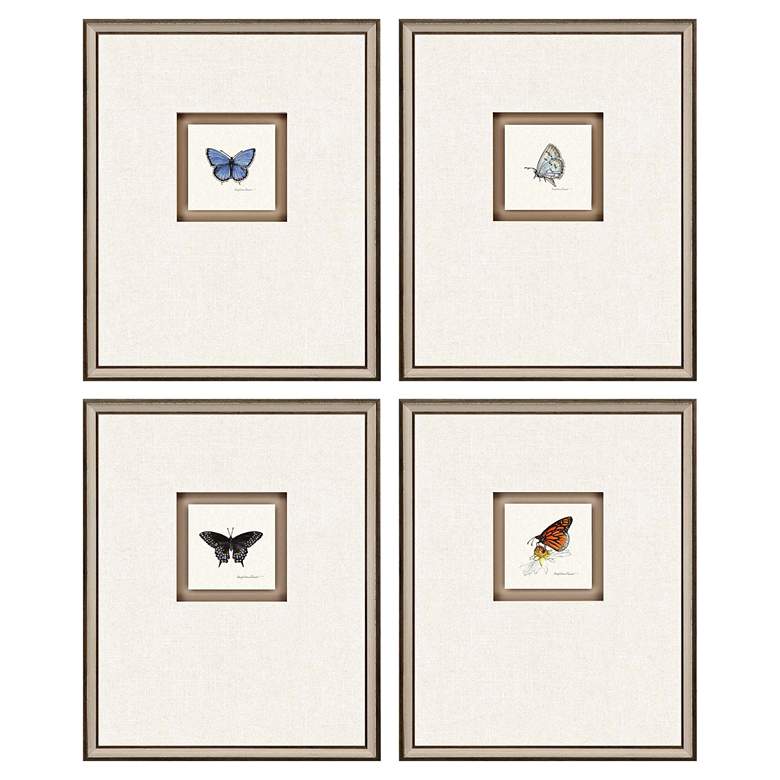 Image 1 Butterfly Study I 22"H 4-Piece Framed Giclee Wall Art Set