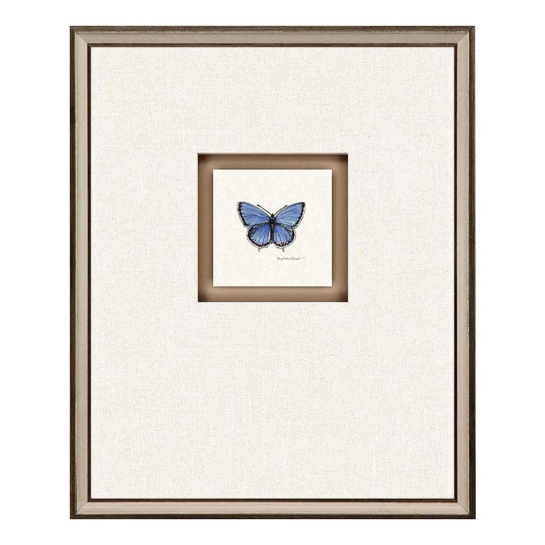 Image 2 Butterfly Study I 22"H 4-Piece Framed Giclee Wall Art Set more views