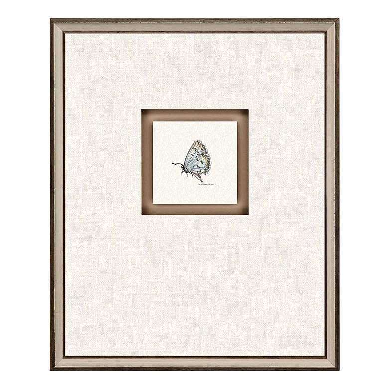 Image 3 Butterfly Study I 22"H 4-Piece Framed Giclee Wall Art Set more views