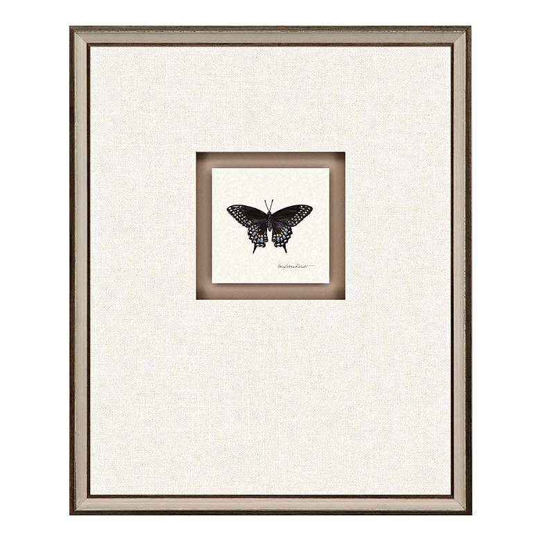 Image 4 Butterfly Study I 22"H 4-Piece Framed Giclee Wall Art Set more views