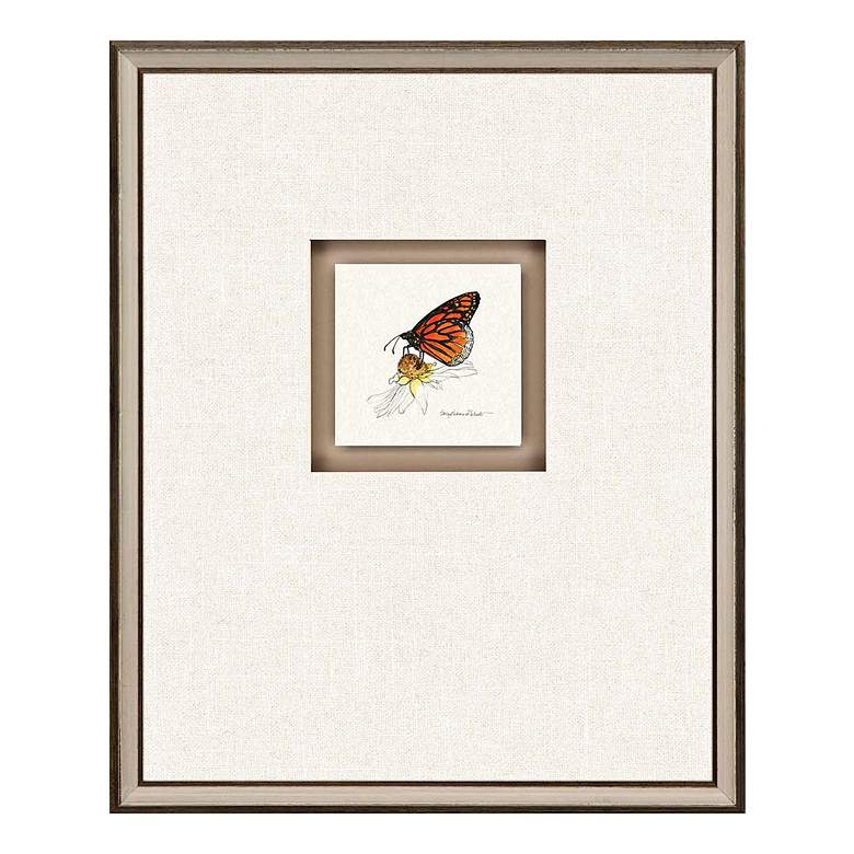 Image 5 Butterfly Study I 22"H 4-Piece Framed Giclee Wall Art Set more views