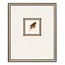 Butterfly Study I 22"H 4-Piece Framed Giclee Wall Art Set