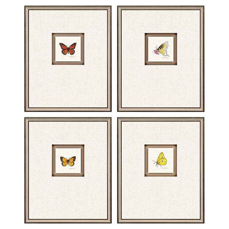Image 1 Butterfly Study II 22 inchH 4-Piece Framed Giclee Wall Art Set