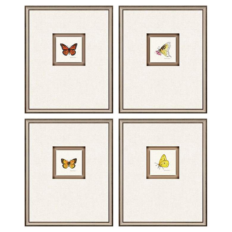 Image 1 Butterfly Study II 22"H 4-Piece Framed Giclee Wall Art Set