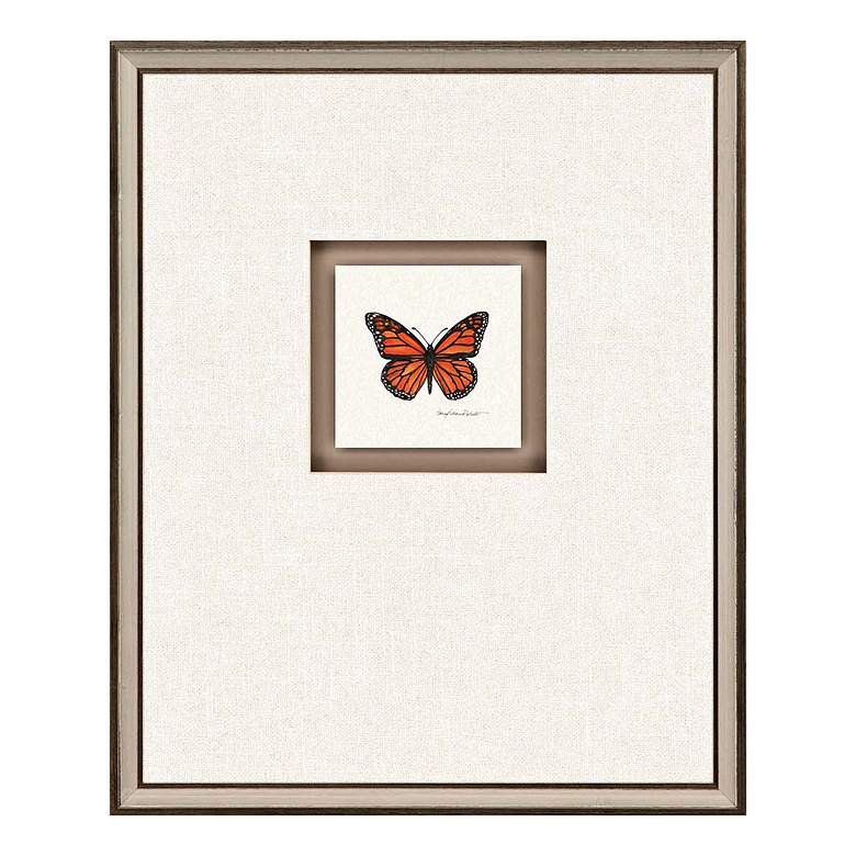 Image 2 Butterfly Study II 22 inchH 4-Piece Framed Giclee Wall Art Set more views