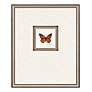 Butterfly Study II 22"H 4-Piece Framed Giclee Wall Art Set