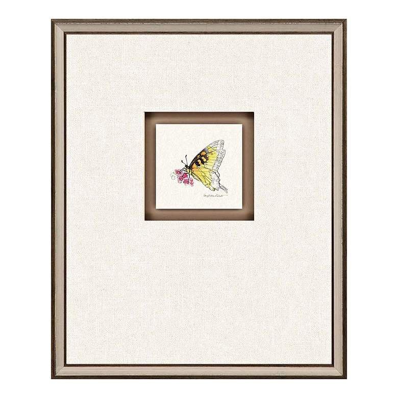 Image 3 Butterfly Study II 22 inchH 4-Piece Framed Giclee Wall Art Set more views