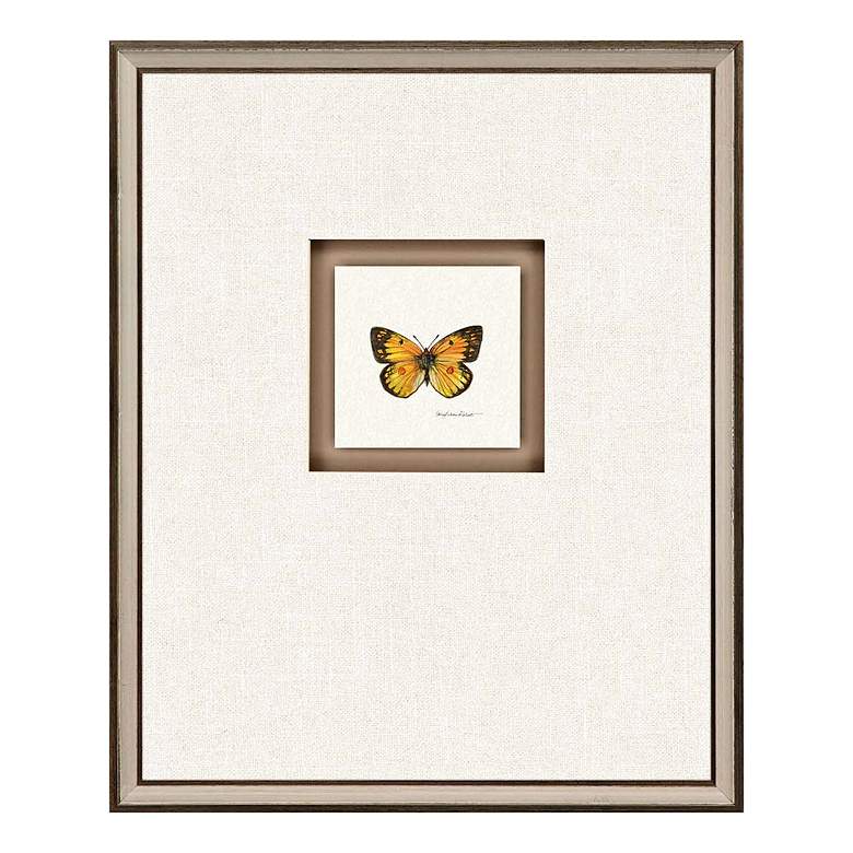 Image 4 Butterfly Study II 22 inchH 4-Piece Framed Giclee Wall Art Set more views