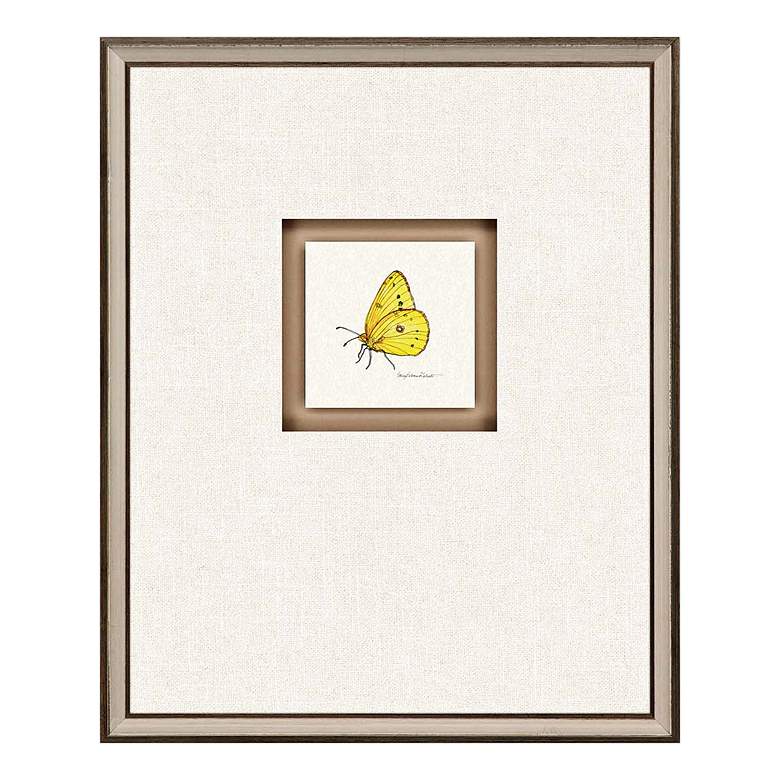 Image 5 Butterfly Study II 22 inchH 4-Piece Framed Giclee Wall Art Set more views
