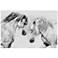 Cabal Lo Bianco Equine 48" x 32" Printed Glass Wall Art