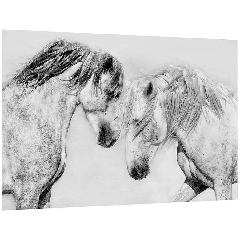 Image 3 Cabal Lo Bianco Equine 48" x 32" Printed Glass Wall Art more views