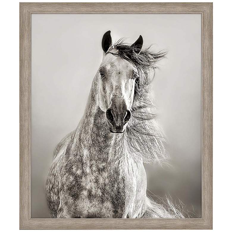 Image 3 Caballo de Andaluz 46"H Rectangular Giclee Framed Wall Art