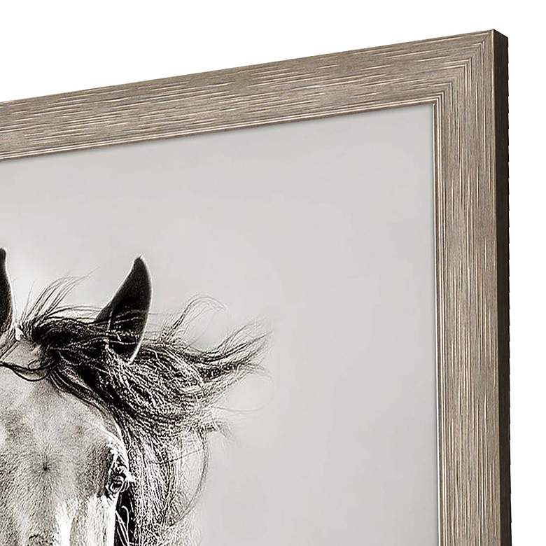Image 4 Caballo de Andaluz 46"H Rectangular Giclee Framed Wall Art more views