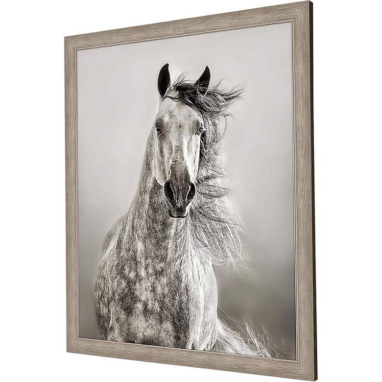 Image 5 Caballo de Andaluz 46 inchH Rectangular Giclee Framed Wall Art more views