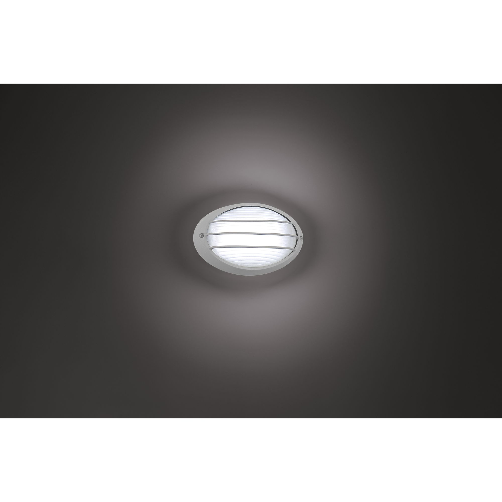 Cabo 5 1/4" High Satin Oval LED Outdoor Wall Light