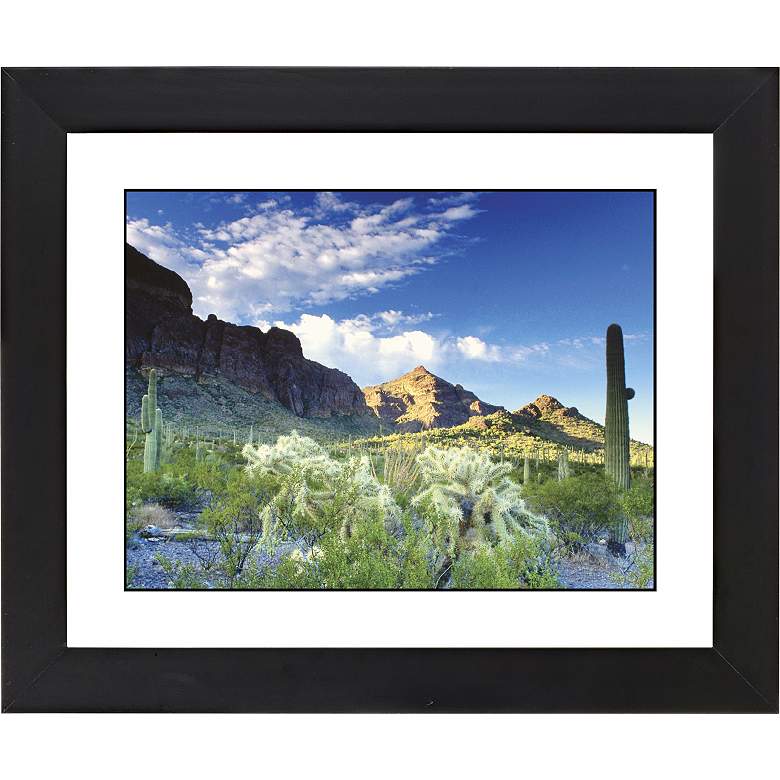 Image 1 Cactus Field Black Frame Giclee 23 1/4 inch Wide Wall Art
