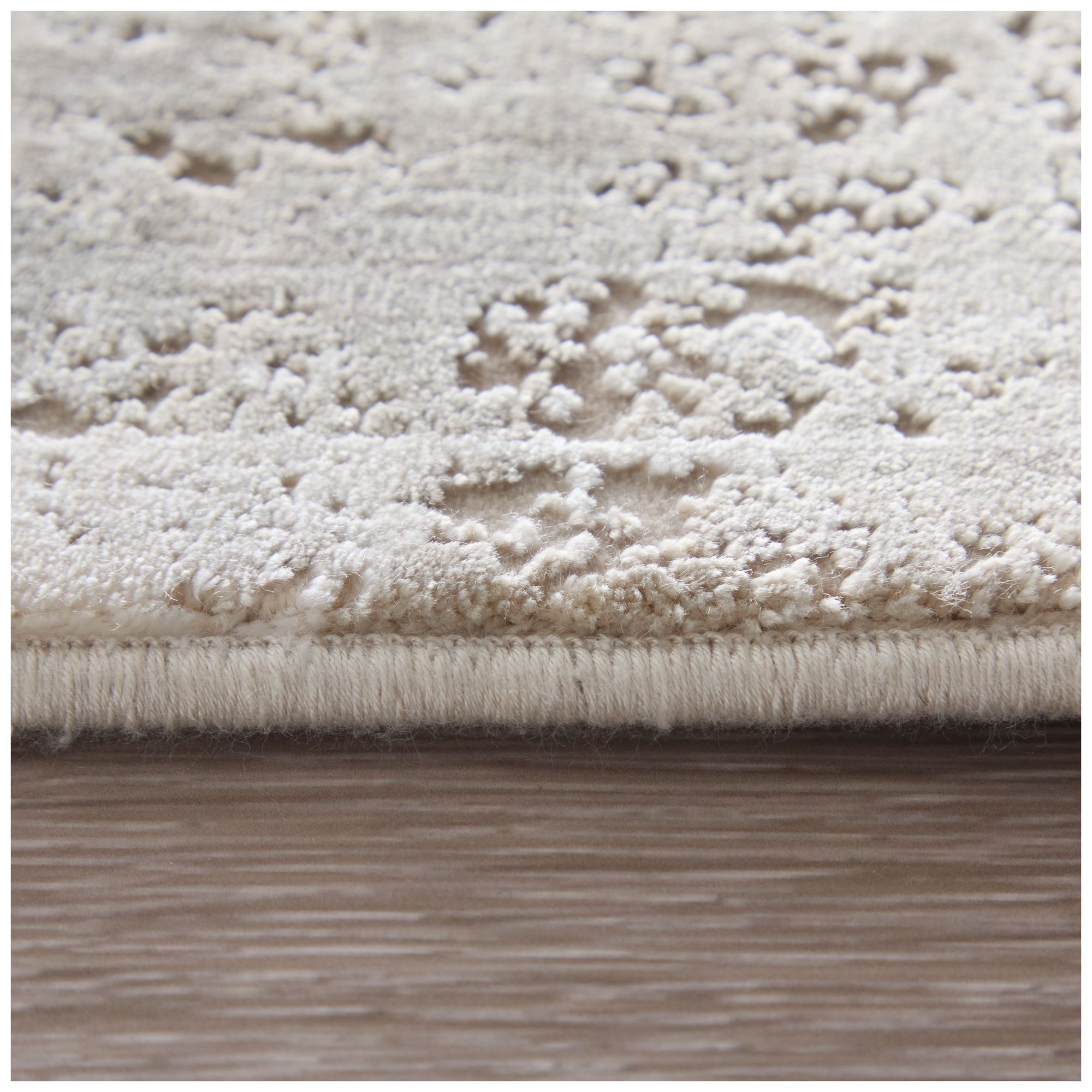 Cadiz Floral & Botanical Indoor Ivory Area Rug 39SZF 2'-2" x 3'-2"