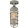 Cage 13" High Silver Outdoor Ceiling Light