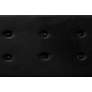 Caine Black Velvet Fabric Tufted Storage Bench