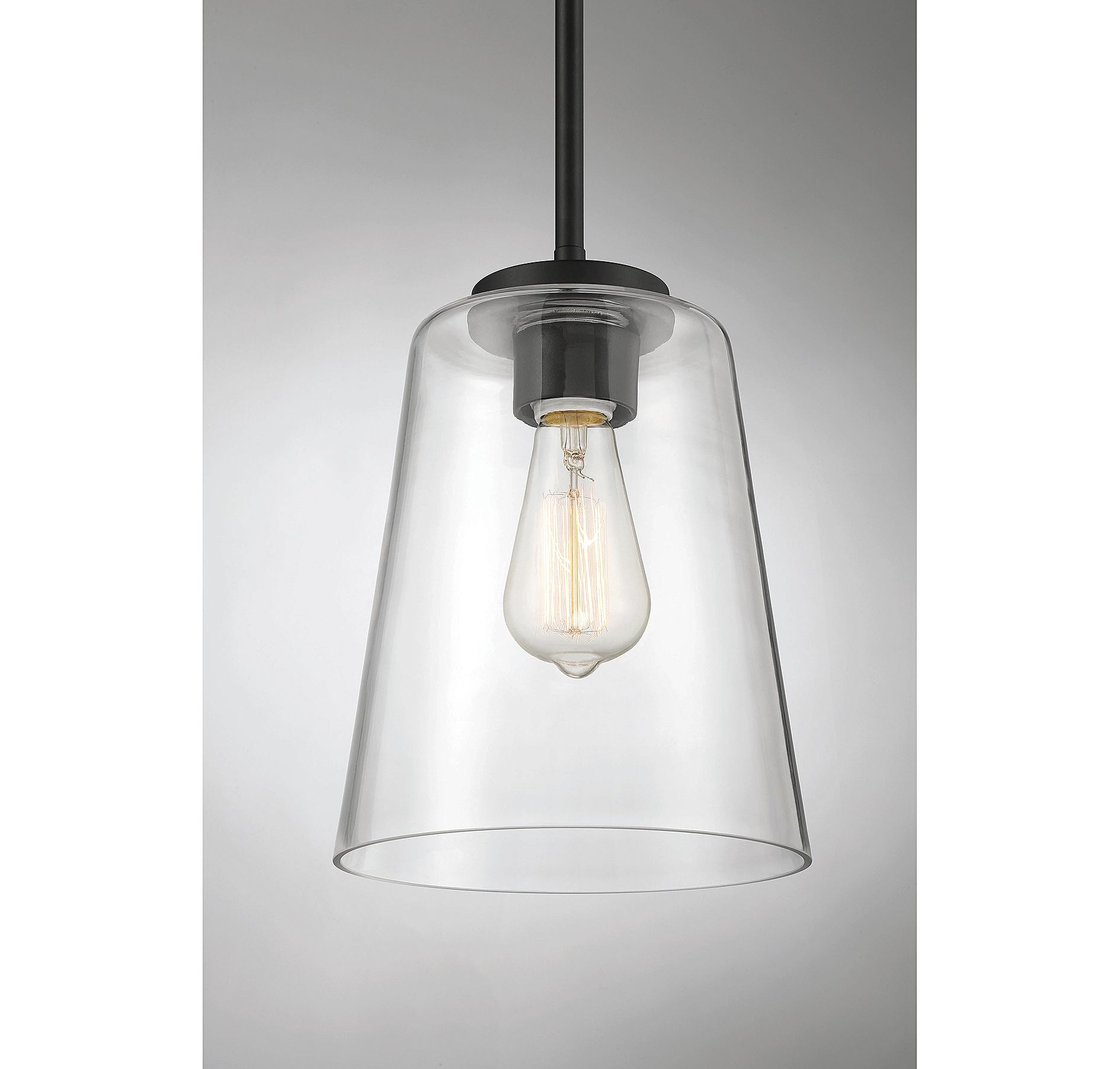 Image 3 Calhoun 1-Light Pendant in Matte Black more views