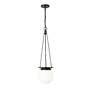 5_Calhoun 9" Wide Matte Black Mini Pendant more views
