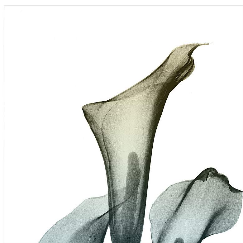 Image 4 Calia Lily 48"H Floating Tempered Glass Graphic Wall Art more views