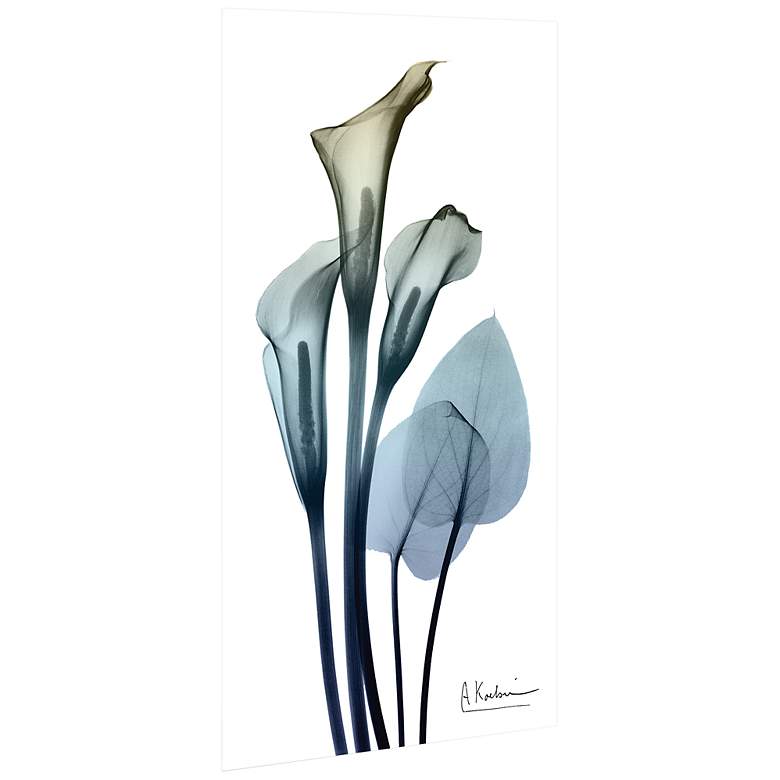 Image 5 Calia Lily 48 inchH Floating Tempered Glass Graphic Wall Art more views