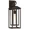 Califa 20" High Bronze Outdoor Wall Light