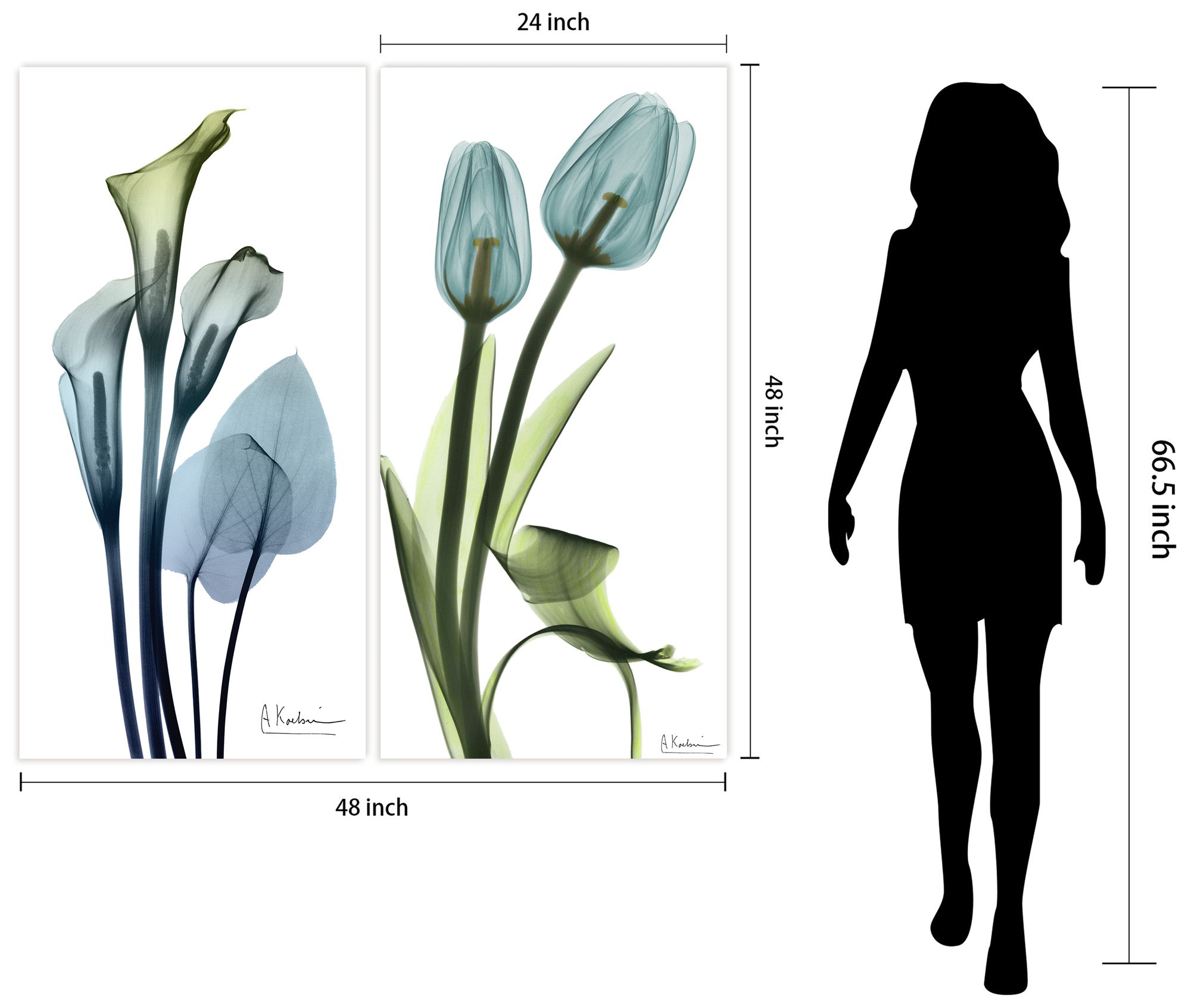 Calla Lily and Tulips" Frameless Printed Tempered Glass Wall Art Set of 2