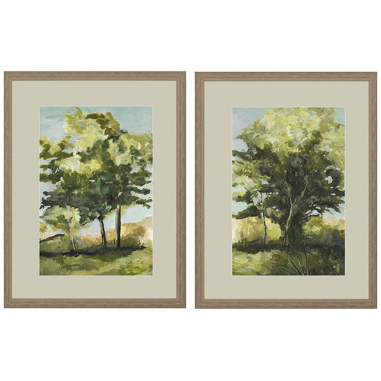 Image 1 Calming Vista 20"W x 26"H Framed Art Set of 2