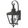 2_Cambridge 21 1/2" High Black Outdoor Wall Light