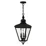 4_Cambridge 25 1/4" High Black Outdoor Hanging Light more views