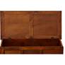 7_Camella 39" Wide Chestnut Wood Trunk Cabinet more views