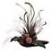 Canna Grass and Staghorn in Dish Faux Flower Arrangement