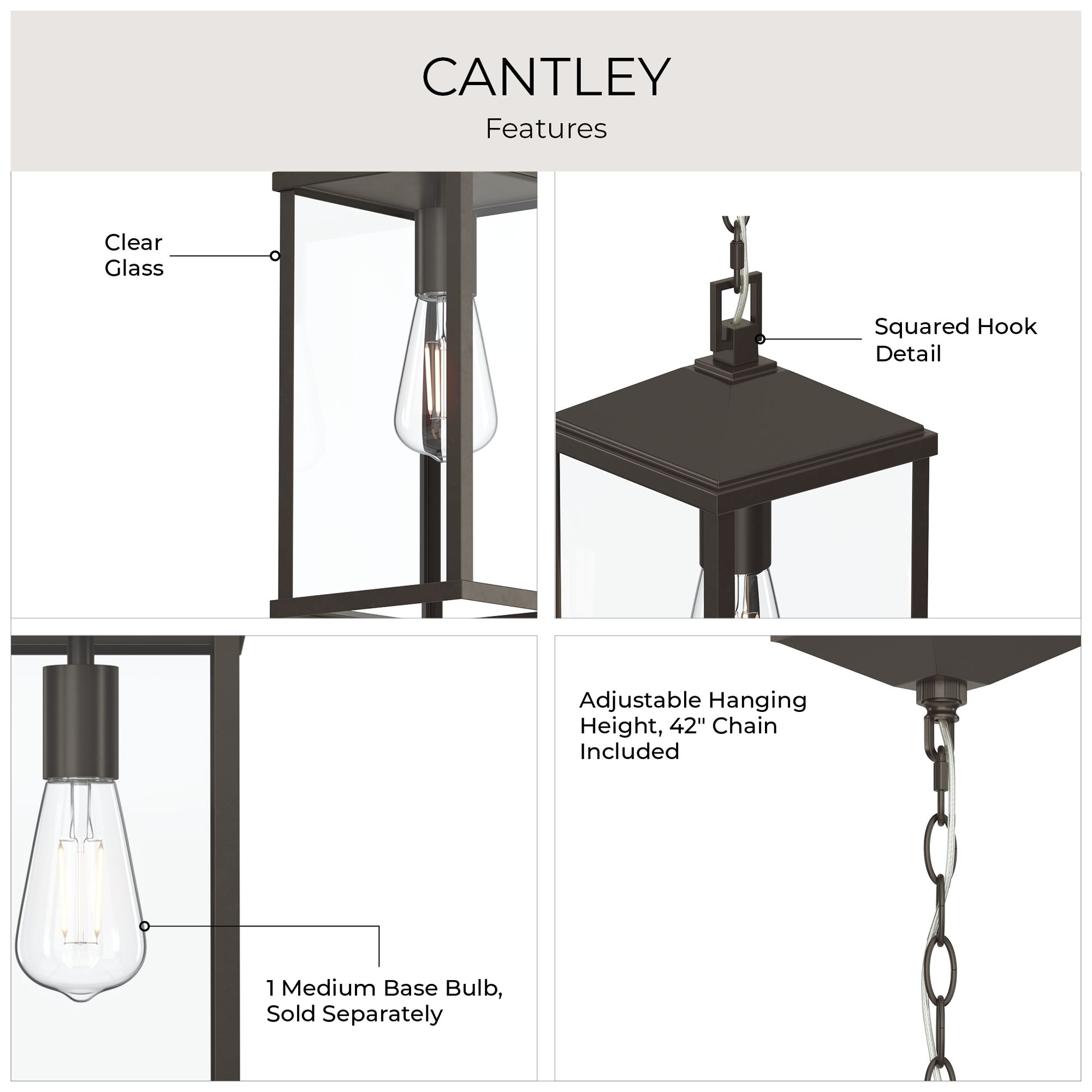 Cantley Outdoor Pendant with Clear Glass Panels