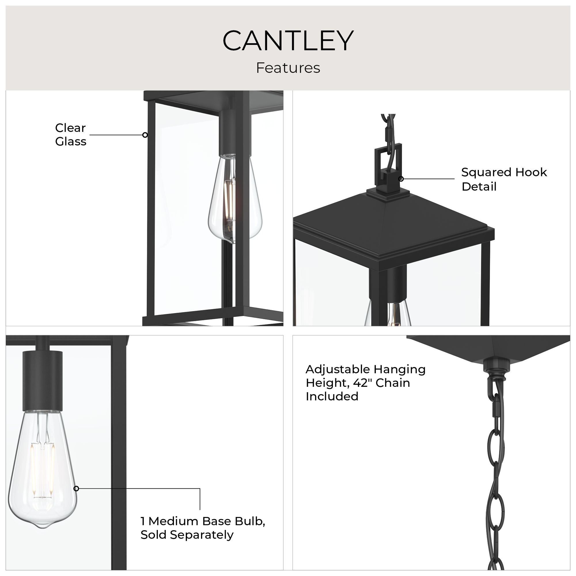 Cantley Outdoor Pendant with Clear Glass Panels