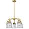 Canton 24"W 5 Light Brushed Brass Stem Hung Chandelier w/ Seedy Glass