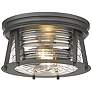 2_Cape Harbor 12" Wide Bronze 2-Light Ceiling Light