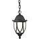 Capella 20" High Crackled Glass Black Outdoor Hanging Light