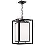 2_Capital Aiden 22" High Black Outdoor Hanging Light