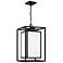Capital Aiden 22" High Black Outdoor Hanging Light