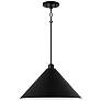 2_Capital Alden 18" Wide Matte Black Pendant Light