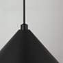 3_Capital Alden 18" Wide Matte Black Pendant Light more views