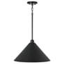 4_Capital Alden 18" Wide Matte Black Pendant Light more views