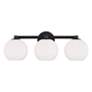 3_Capital Ansley 22 3/4" Wide Matte Black 3-Light Bath Light more views
