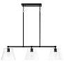 2_Capital Baker 44 1/2"W Matte Black 3-Light Linear Chandelier