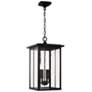 2_Capital Barrett 21" High Black Outdoor Hanging Light