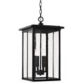 Capital Lighting Barrett Black Collection