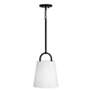4_Capital Brody 10" Wide Matte Black Mini Pendant more views